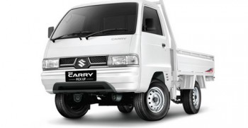 carry-pu-wd-white